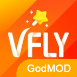 VFly